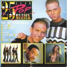 Various - 25 Jaar Popmuziek - 1988, Cd's en Dvd's, Vinyl | Pop, Gebruikt, Verzenden