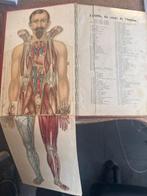 Docteurs Fournol; Heiser; Samné - Mon Médecin - 1907