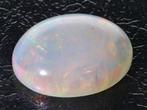 Zonder Minimumprijs Wit Opaal - 17.10 ct - Instituto, Nieuw