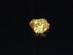 Stralende Gouden Nugget - Yukon Goud nugget- 0.22 g - (1)