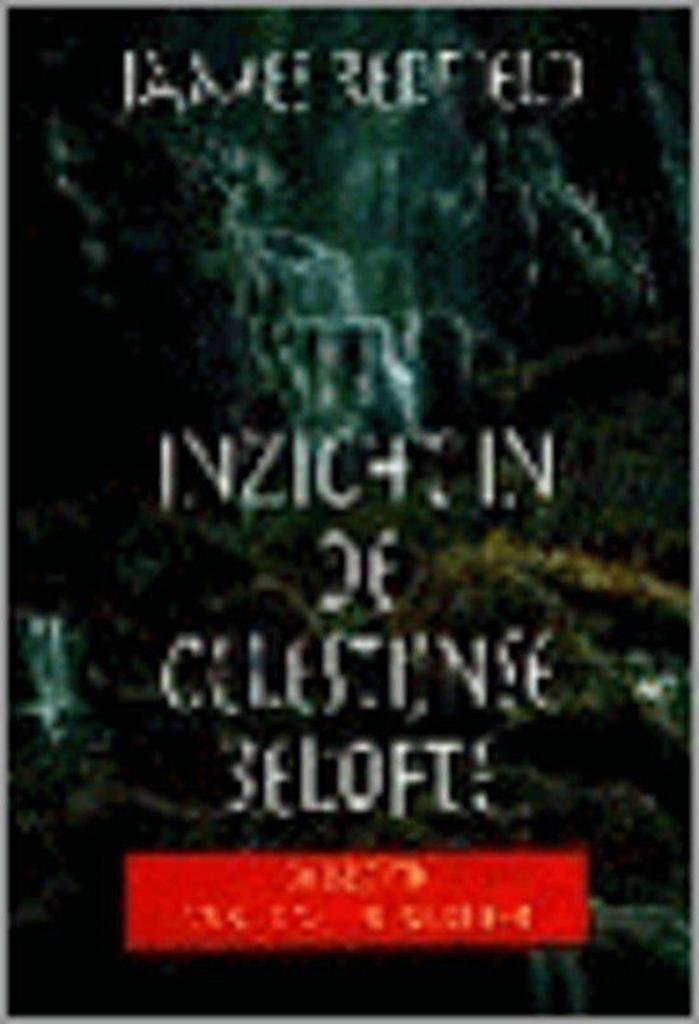 CELESTIJNSE BELOFTE INZICHT 9789022522578 James Redfield, Boeken, Esoterie en Spiritualiteit, Gelezen, Verzenden