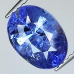 Bleu Saphir - 2.38 ct - Antwerp Laboratory for Gemstone, Nieuw