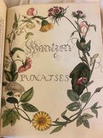 Caspar Stoll - Cicadas and Tree Bugs: Natuurlyke en naar t