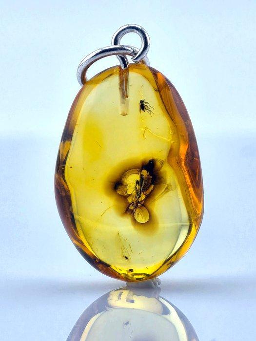 Barnsteen - Rare Dual Insect Baltic Amber – WASP & BEETLE –, Antiquités & Art, Curiosités & Brocante