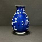 Vaas - Porselein - China - Qing Dynastie (1644-1911) - Blauw
