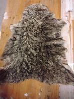 Schaap Taxidermie volledige montage - Pecora - 45 cm - 40 cm, Antiek en Kunst