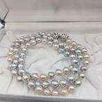Zonder minimumprijs - Halsketting Zilver Parel - Akoya-parel, Nieuw