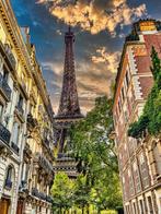 Fabian Kimmel - Rue De LUniversitè / Tour Eiffel I