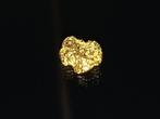 Stralende Gouden Nugget - Yukon Goud nugget- 0.3 g - (1)
