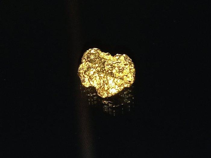 Stralende Gouden Nugget - Yukon Goud nugget- 0.3 g - (1), Verzamelen, Mineralen en Fossielen