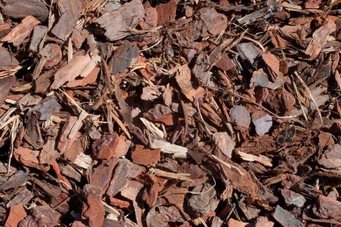 Decoratieve pijnboomschors 20-40mm 70L, Dieren en Toebehoren, Overige Dieren-accessoires, Nieuw