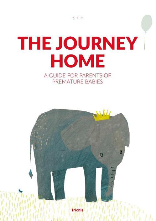 The Journey Home 9789492881342 Liduine Schönau, Boeken, Zwangerschap en Opvoeding, Zo goed als nieuw, Verzenden