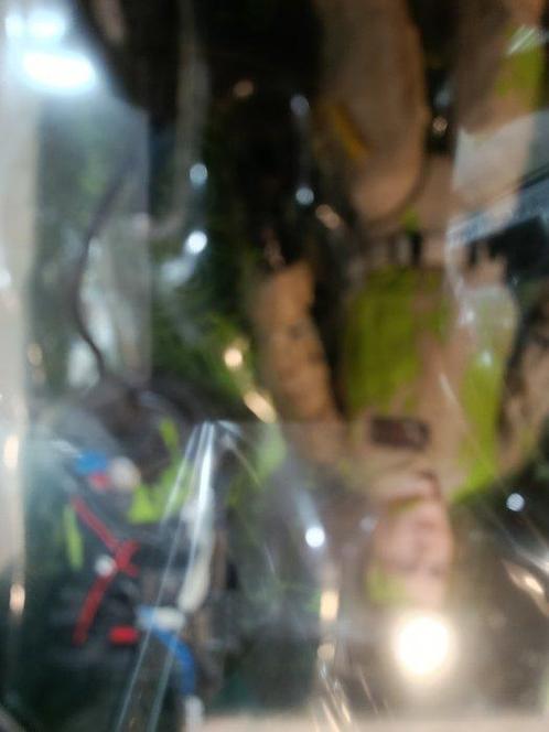 Ghostbusters - Harold Ramis - Hasbro, Verzamelen, Film en Tv