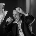 Roberto Cavalli (1971) - 4 pcs - Nick Cave & Warren Ellis,