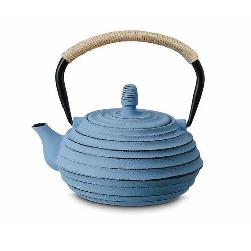 Theepot  Guangxi , blauw, gietijzer met roestvrijstalen filt, Hobby en Vrije tijd, Theezakjes