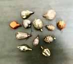 Kerstballen (12) - Antieke glazen kerstballen 1930-50er, Diversen, Nieuw