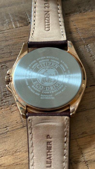 Citizen - World Perpetual Radio Controlled Eco-Drive -, Handtassen en Accessoires, Horloges | Heren