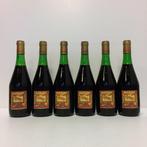 1966 Bodegas Campo Viejo - Rioja Reserva - 6 Flessen (0.75, Nieuw