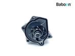 Pompe à eau Honda NX 500 2024-, Motoren, Verzenden, Nieuw