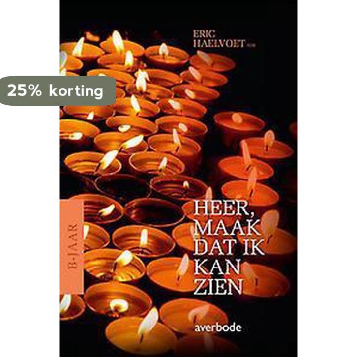 Heer, maak dat ik kan zien 9789031739110 Eric Haelvoet, Livres, Livres scolaires, Envoi