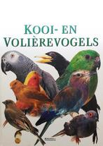 Kooi en Voliérevogels 9789062489305, Boeken, Dieren en Huisdieren, Gelezen, Jeannine Lancret, Verzenden