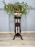 Schitterende piëdestal plantentafel - Plantentafel - Hout, Antiek en Kunst