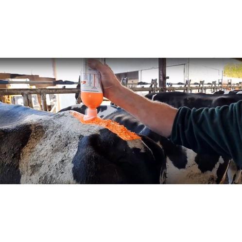 Daisy paint incl. borstel, oranje, 750 ml - kerbl, Dieren en Toebehoren, Stalling en Weidegang