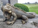 Beeld, beautiful image of a Cuban rock iguana - 21 cm -, Antiek en Kunst