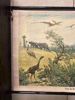 Dinosaurus de la période du Crétacé. - Carte scolaire -