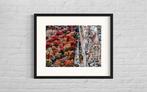 Fabian Kimmel - Central Park Autumn II, New York