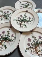 Villeroy & Boch - Plat (6) - botanica - Porcelaine, Antiek en Kunst