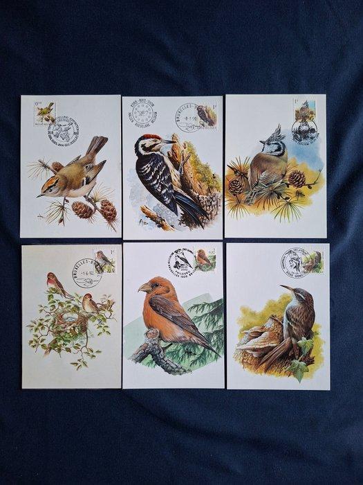 België 1985/2003 - Vogels Andre Buzin selectie, Postzegels en Munten, Postzegels | Europa | België