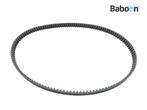 Aandrijfriem Harley-Davidson XL 883 C Sportster Custom, Verzenden, Gebruikt