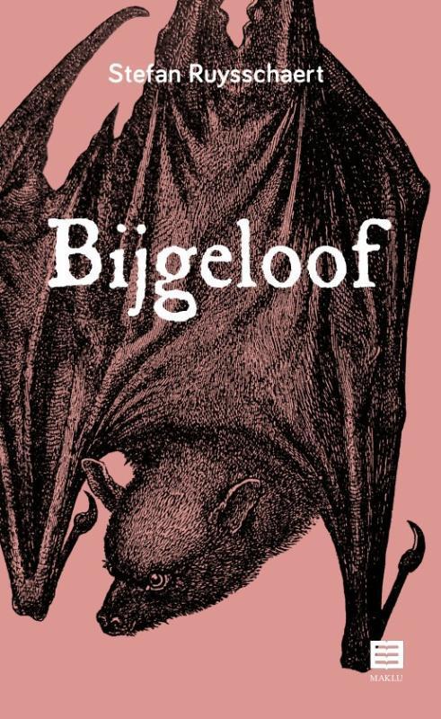 Bijgeloof 9789046611043 Stefan Ruysschaert, Boeken, Wetenschap, Zo goed als nieuw, Verzenden