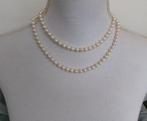 Zonder minimumprijs - Halsketting - 9 kt. Witgoud, Akoya, Handtassen en Accessoires, Kettingen, Nieuw