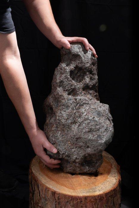 Grand Campo del Cielo Individuel - Hauteur : 47 cm - Largeur, Verzamelen, Mineralen en Fossielen