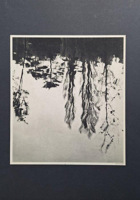 René-Jacques (1908-2003) - Reflets darbres dans leau, Antiek en Kunst, Kunst | Schilderijen | Modern