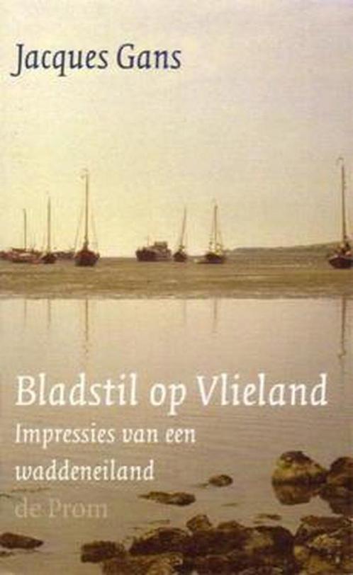 Bladstil op Vlieland 9789068016758 J. Gans, Boeken, Romans, Gelezen, Verzenden
