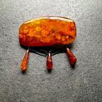 ancienne grande broche en ambre balte naturel - Ambre -, Collections