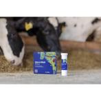 Bolus ket-o-vital energétique - kerbl