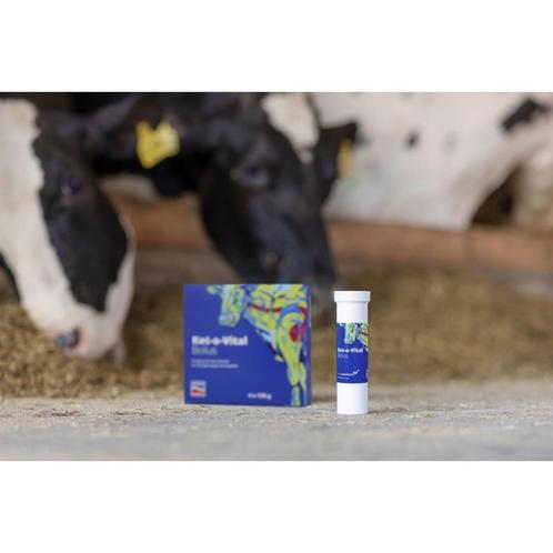Bolus ket-o-vital energétique - kerbl, Zakelijke goederen, Landbouw | Veevoer