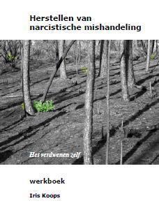 herstellen van narcistische mishandeling 9789082392500, Boeken, Psychologie, Gelezen, Verzenden