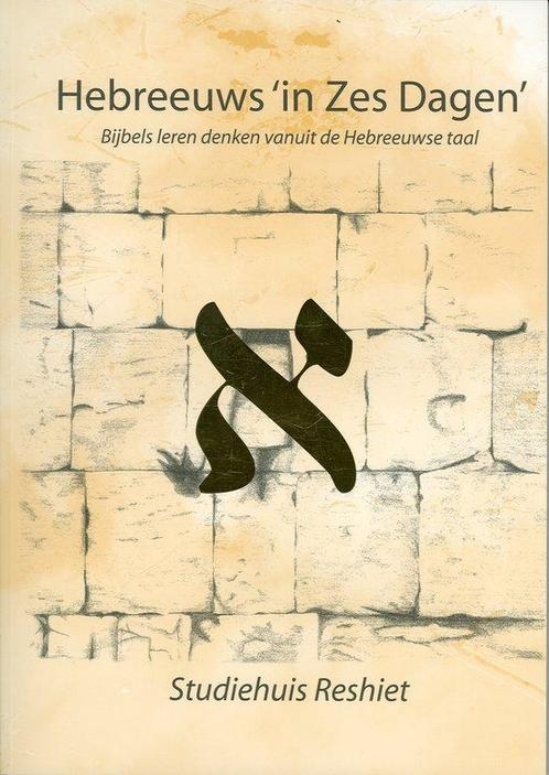 Hebreeuws 'in Zes Dagen' - R.L. Modeth - 9789080456532 - Pap, Boeken, Godsdienst en Theologie, Verzenden