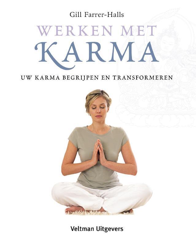 Werken met karma 9789059208070 G. Farrer-Halls, Boeken, Esoterie en Spiritualiteit, Gelezen, Verzenden