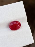 Zonder Minimumprijs - 1 pcs Rood Robijn - 2.51 ct -, Handtassen en Accessoires, Edelstenen, Nieuw