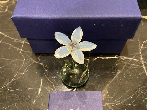 Swarovski - Figuur - Jess - 1016645 - Kristal, Metaal, Antiek en Kunst, Curiosa en Brocante
