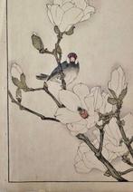 Magnolia et moineau , 1891 - Imao Keinen - Japan - Meiji