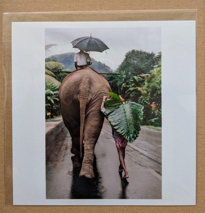 Steve McCurry (1950–) - Young Man walks behind an elephant,, Antiek en Kunst, Kunst | Designobjecten