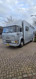 Veiling: Paardenwagen DAF AE64NT Diesel 158pk 1990