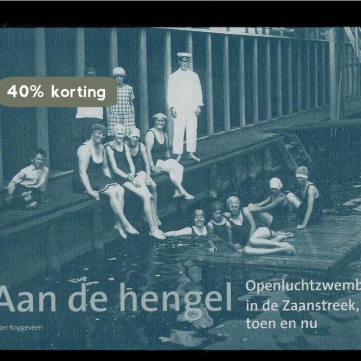 Aan de hengel 9789078381181 P. Roggeveen, Boeken, Geschiedenis | Stad en Regio, Gelezen, Verzenden